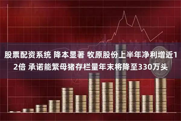 股票配资系统 降本显著 牧原股份上半年净利增近12倍 承诺能繁母猪存栏量年末将降至330万头