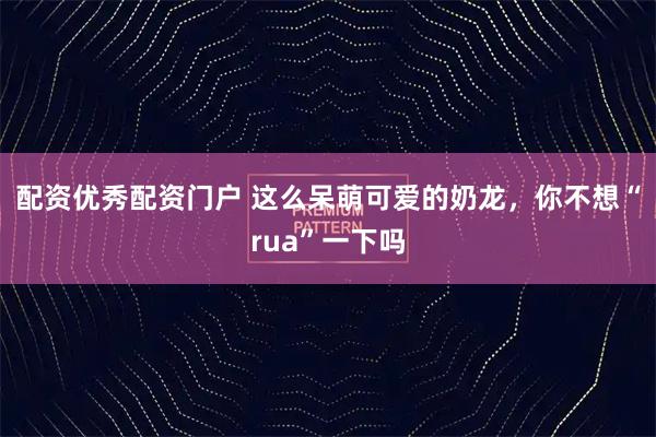 配资优秀配资门户 这么呆萌可爱的奶龙，你不想“rua”一下吗